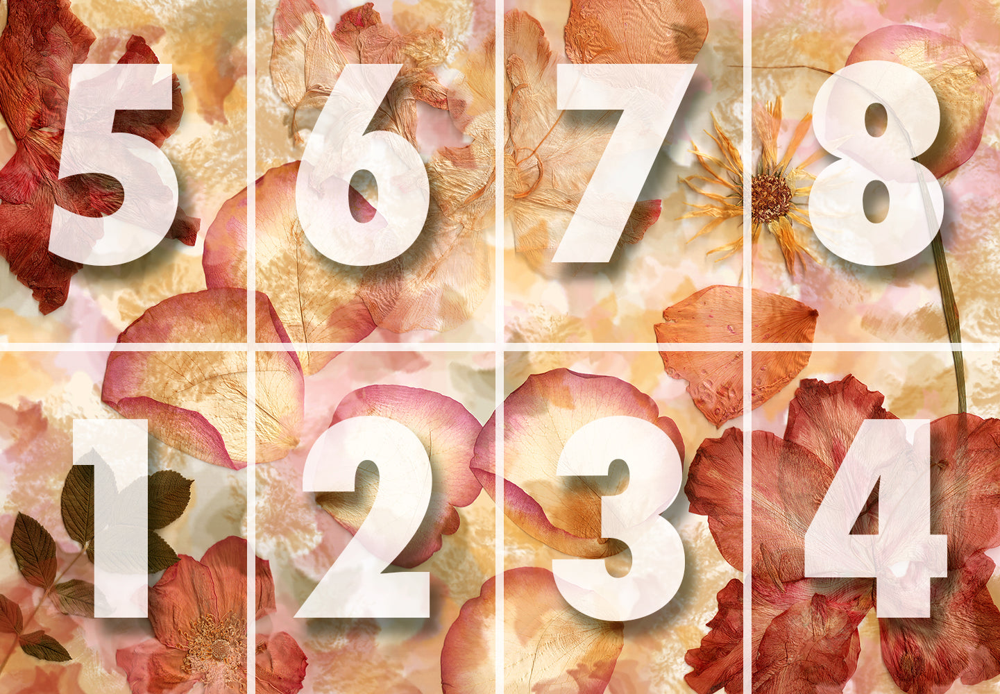 Dried Flowers Non-Woven Wallpaper Mural 366 cm x 254 cm (141" x 100")