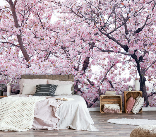 Pink Flowering Tree Nature Non-woven Photo Wallpaper (W x H) 312 cm x 219 cm (123" x 86")
