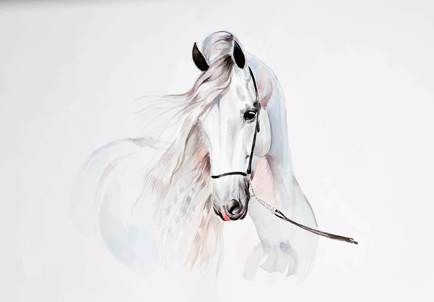 White Pony Horse Animal Animal Non-woven Photo Wallpaper (W x H) 312 cm x 219 cm (123" x 86")
