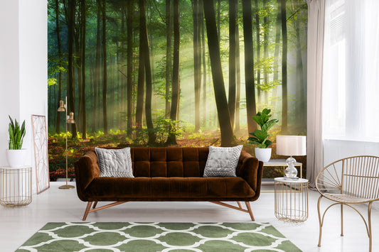 Green Summer Forest photo wallpaper for living room