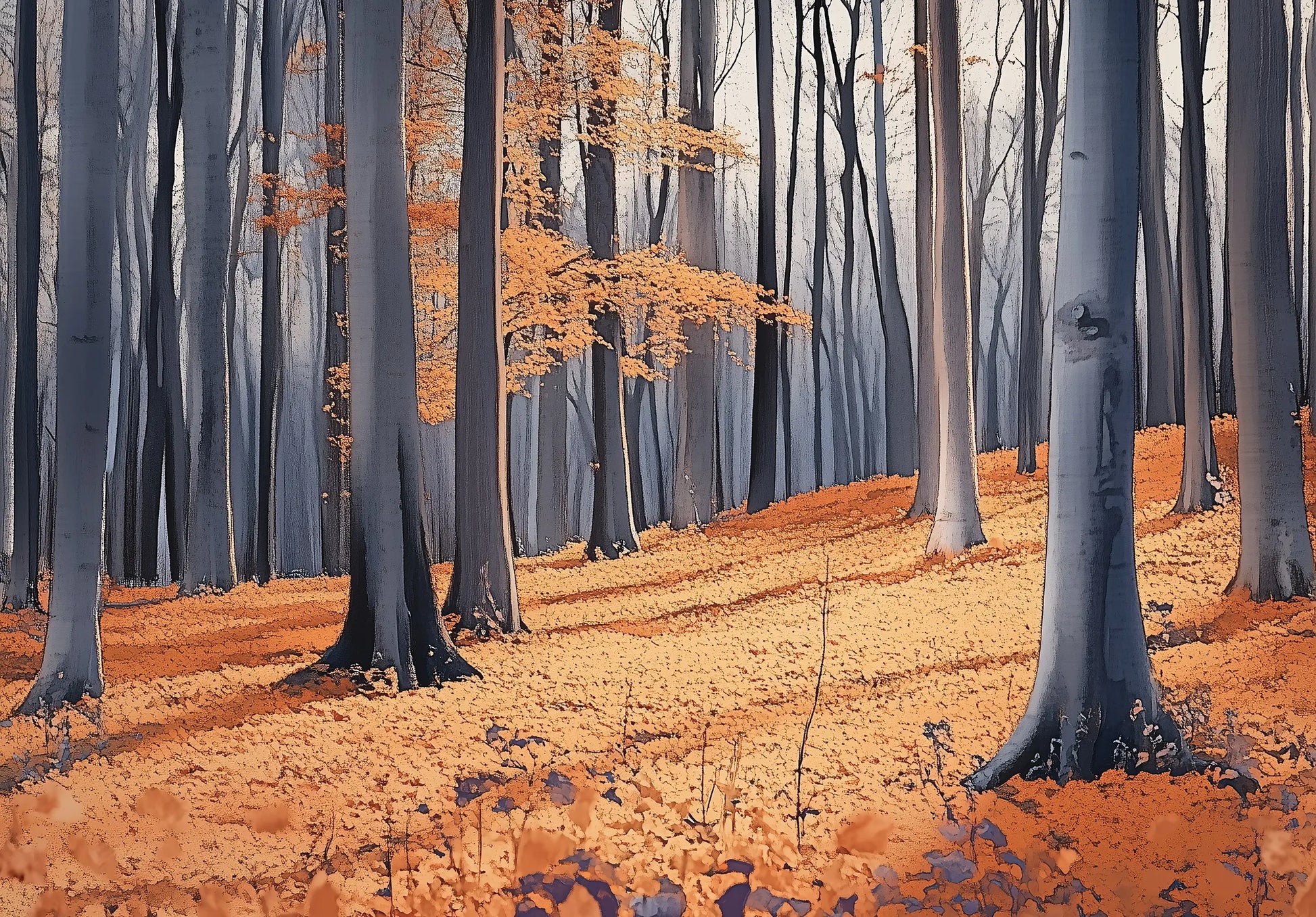 Forest scene with tall trees and orange autumn leaves on the ground wallpaper mural