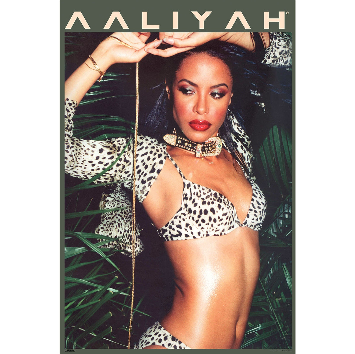 AALIYAH Poster