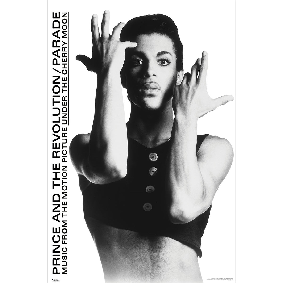 PRINCE Poster
