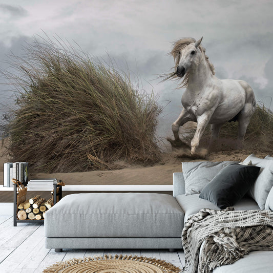 White Wild Horse Animal Wallpaper Mural (W x H) 384 cm x 260 cm (151" x 102")