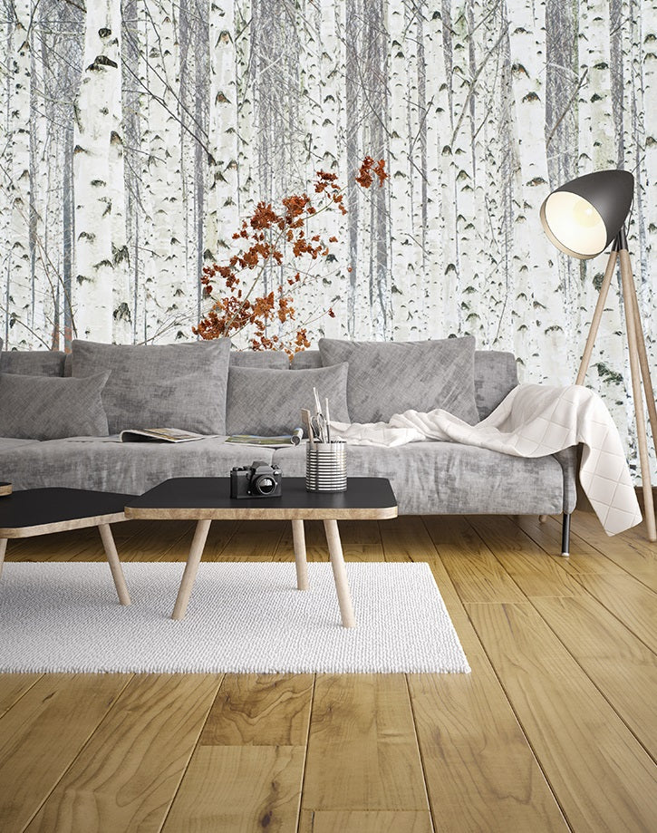White Birch Forest Nature Wallpaper Mural (W x H) 384 cm x 260 cm (151" x 102")