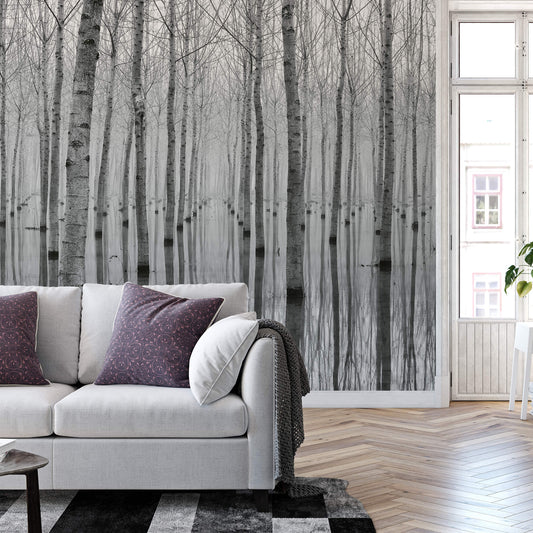 Birch Forest in the Water Nature Wallpaper Mural  (W x H) 384 cm x 260 cm (151" x 102")