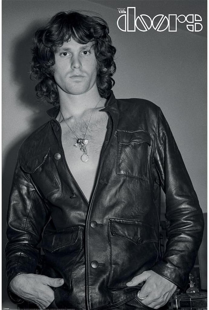 The Doors Jim Morrison Poster The Doors