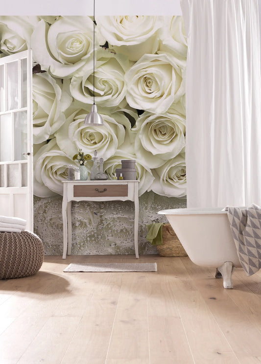 White Roses Floral Photo Wallpaper (W x H) 368cm x 254cm (144" x 100")