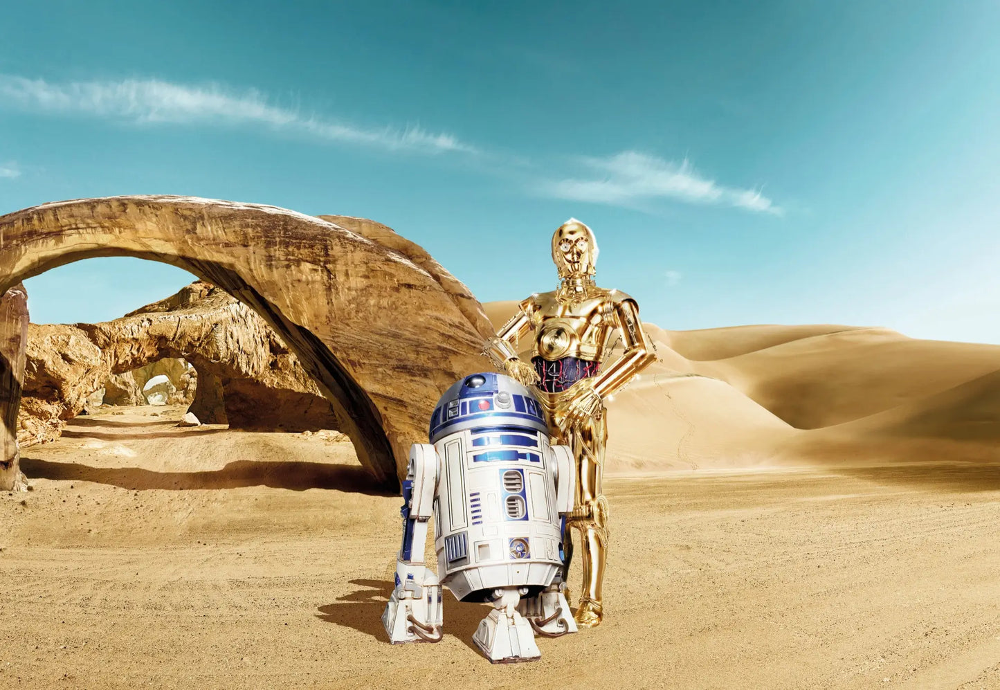 Star Wars Lost Droids R2D2 and C3PO Desert Photo Wallpaper (W x H) 368cm x 254cm (144" x 100")