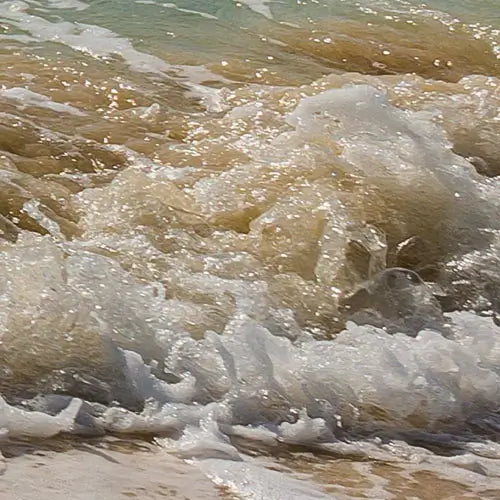 Beach paper photo wallpaper closeup 1