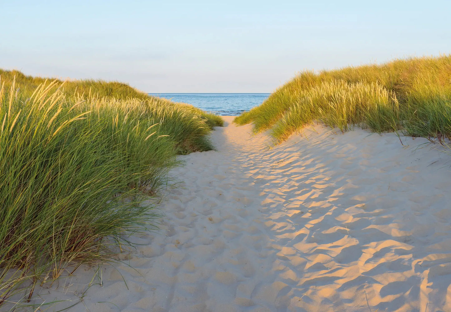 Sandy Path Seaside Beach Scenery Photo Wallpaper (W x H) 368cm x 254cm (144" x 100")