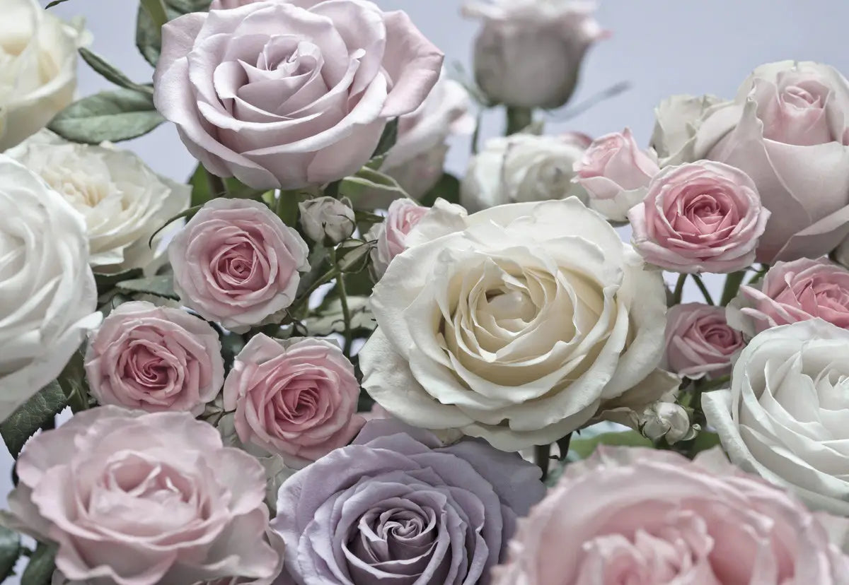 Light Rose Pink Flowers Bedroom Floral Photo Wallpaper