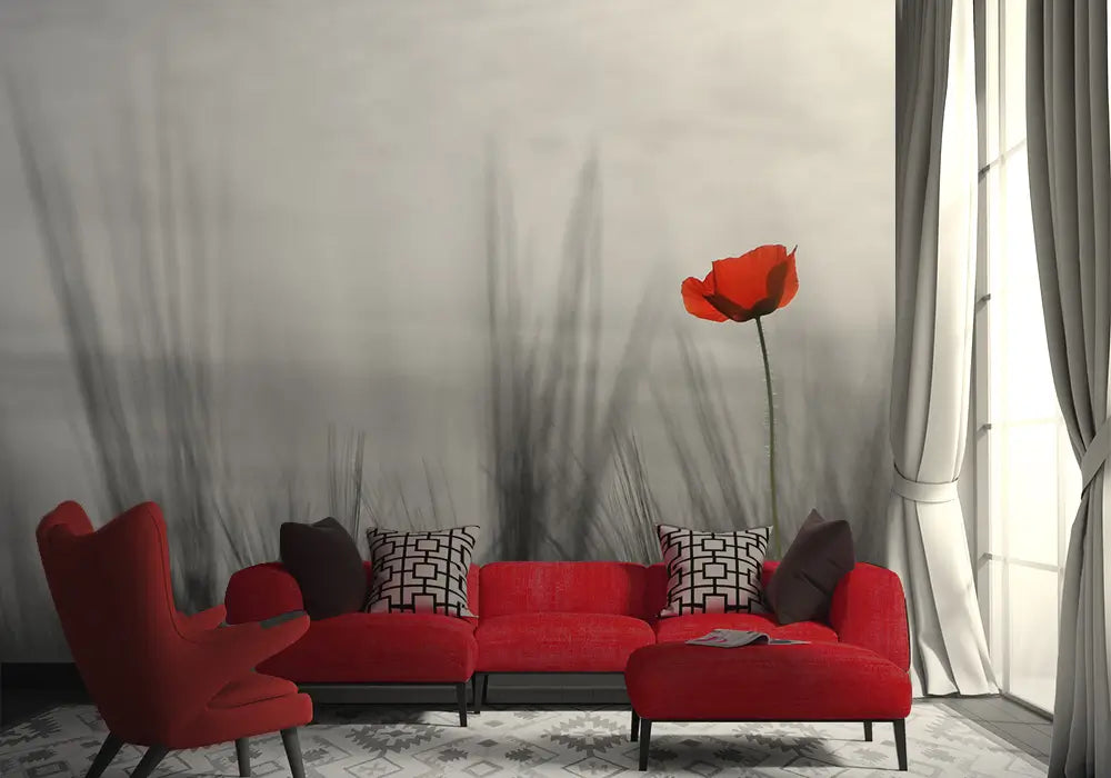 Lonely Red Poppy Flower Photo Wallpaper