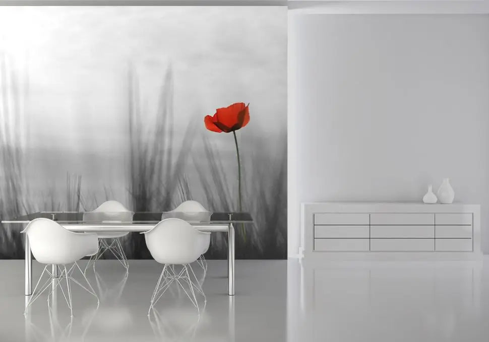 Lonely Red Poppy Flower Photo Wallpaper