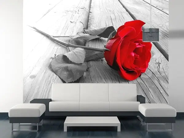 Red Rose on the Grey Wooden Planks Photo Wallpapers