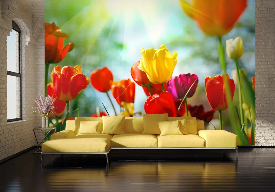 Colourful Spring Flowers Photo Wallpaper