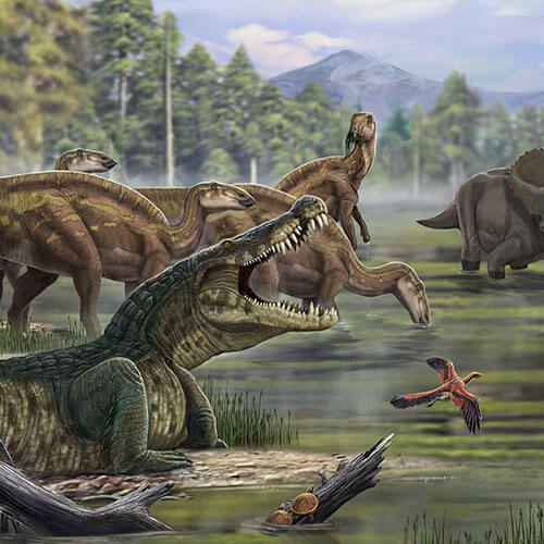 National Geographic Dinosaurs on the Shore Non-Woven Wallpaper Mural 450 cm x 280 cm (177" x 110")