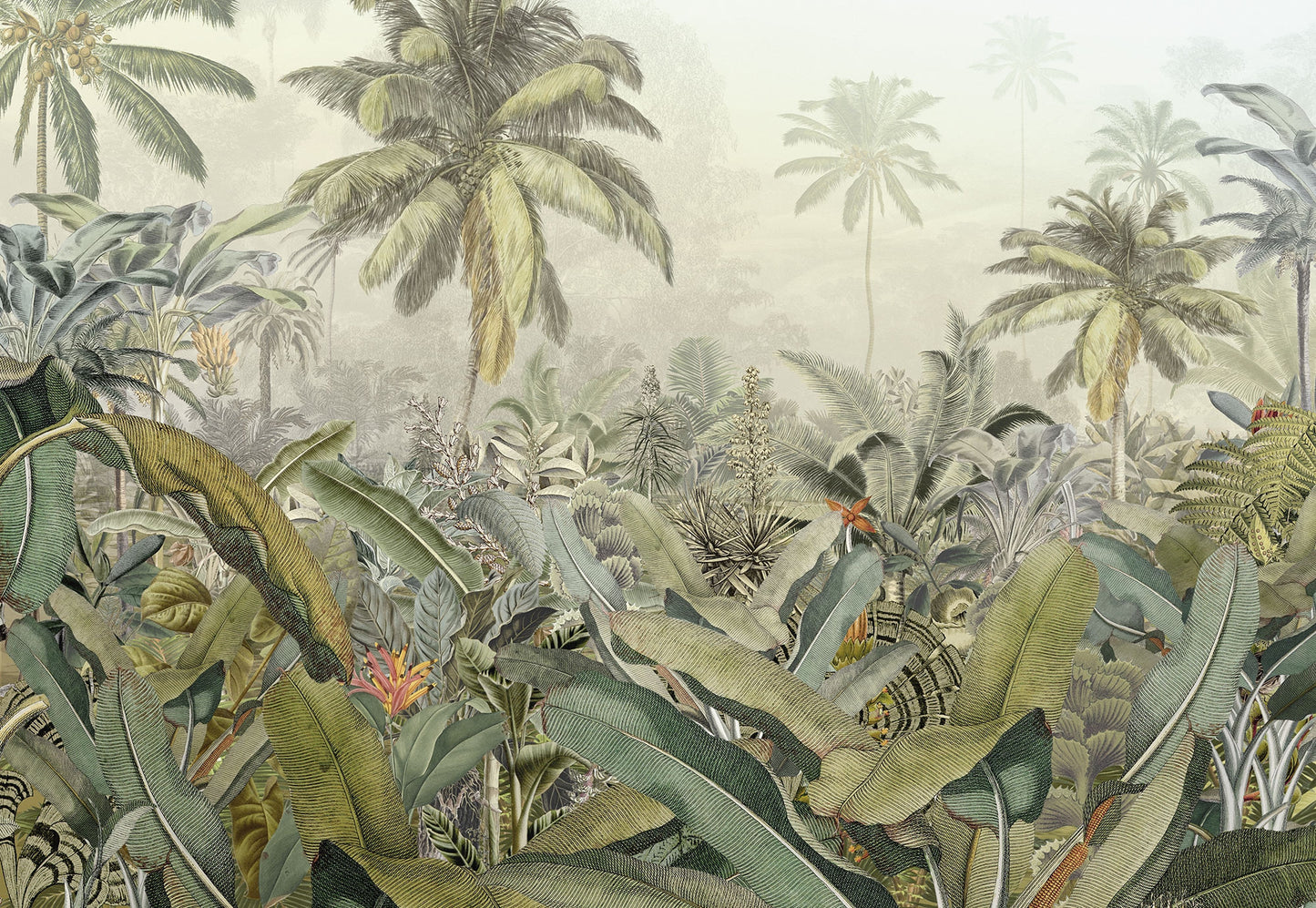 Amazonia Green Botanical Bedroom Botanical Non-woven photo wallpaper (W x H) 368cm x 248cm (144" x 98")
