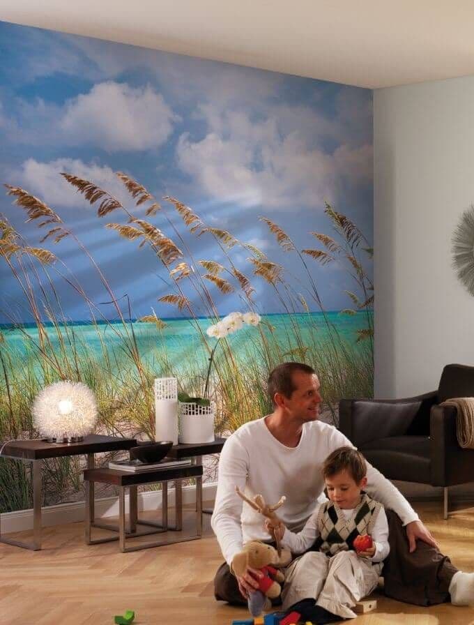 Ocean Breze National Geographic Living Room Photo Wallpaper National Geographic