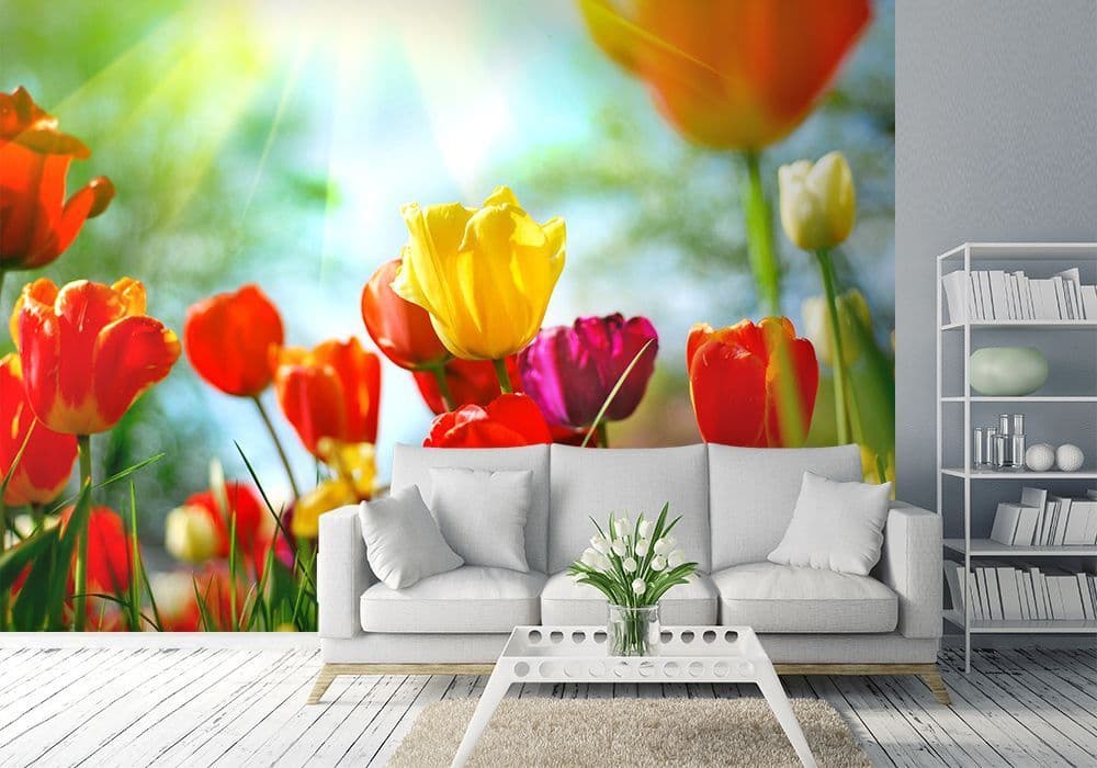 Colourful Spring Flowers Photo Wallpaper Nice Wall