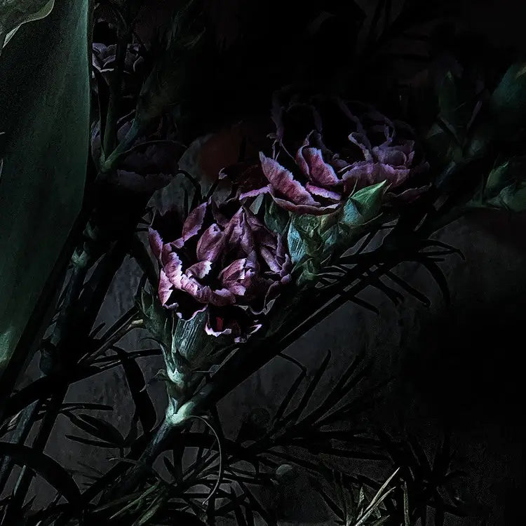 Black Floral Composition Living Room Background Photo Wallpaper closeup