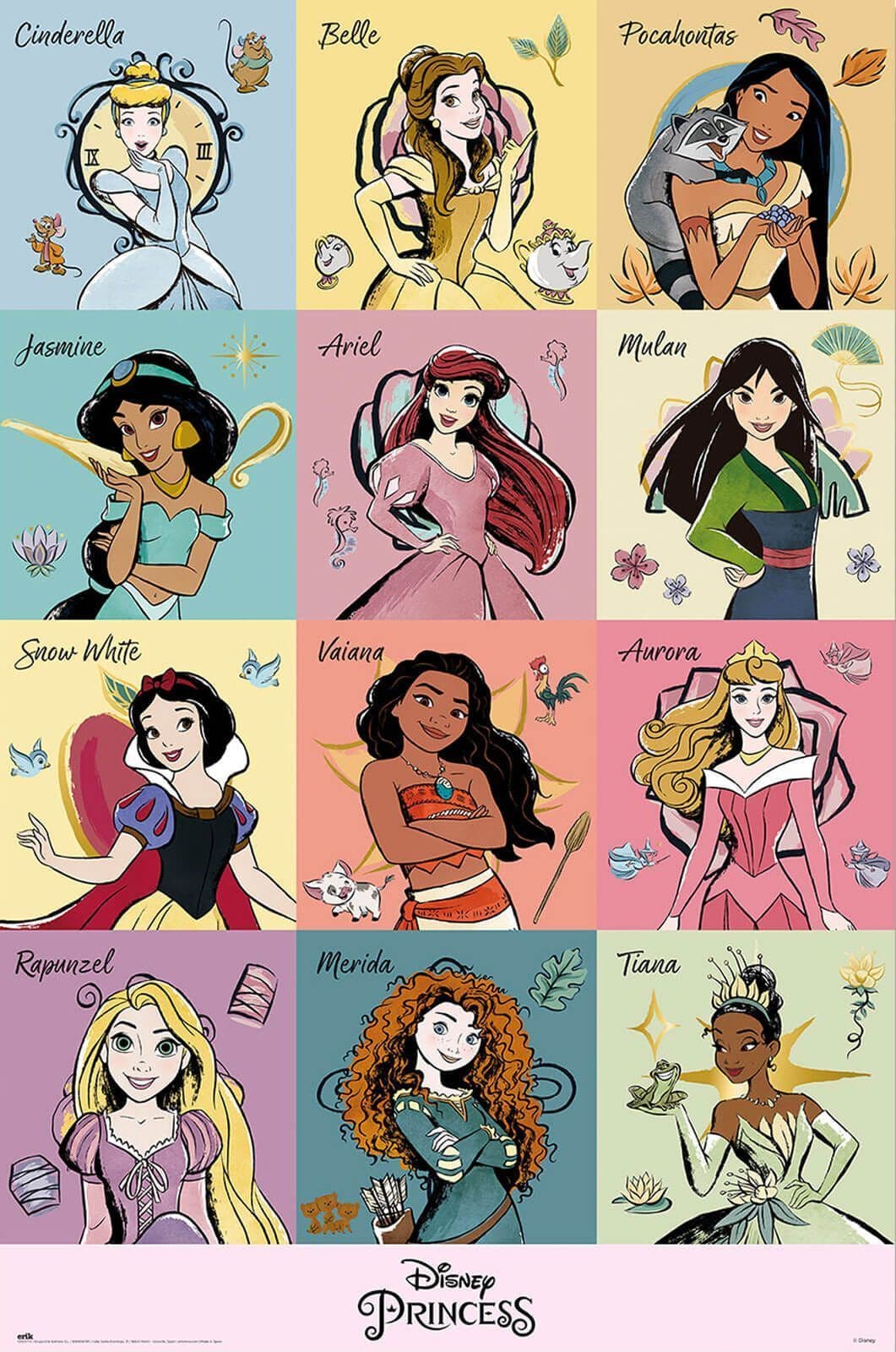 Princess Brush Strokes Poster