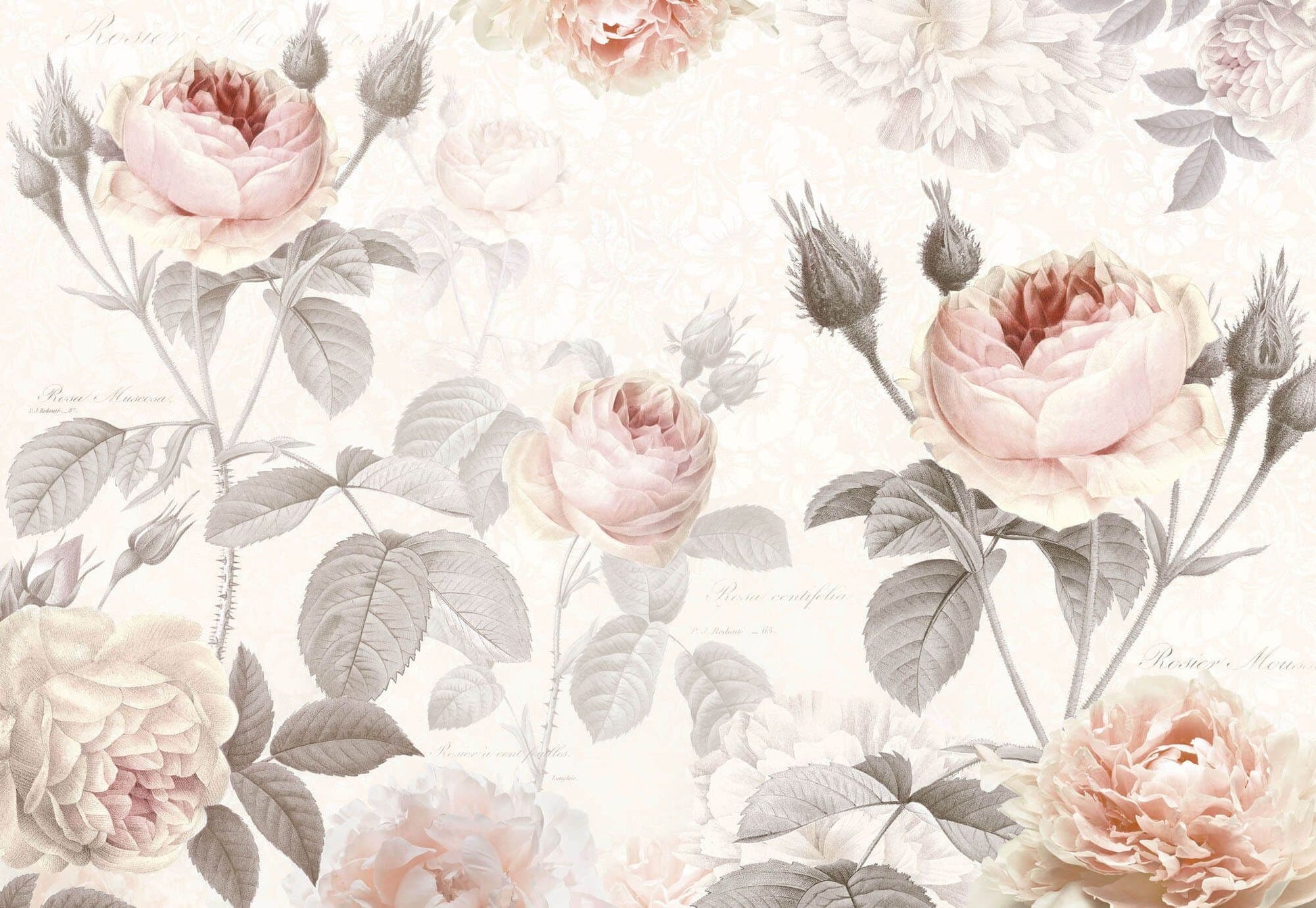 Floral Design Light Pink Non-Woven Wall Mural