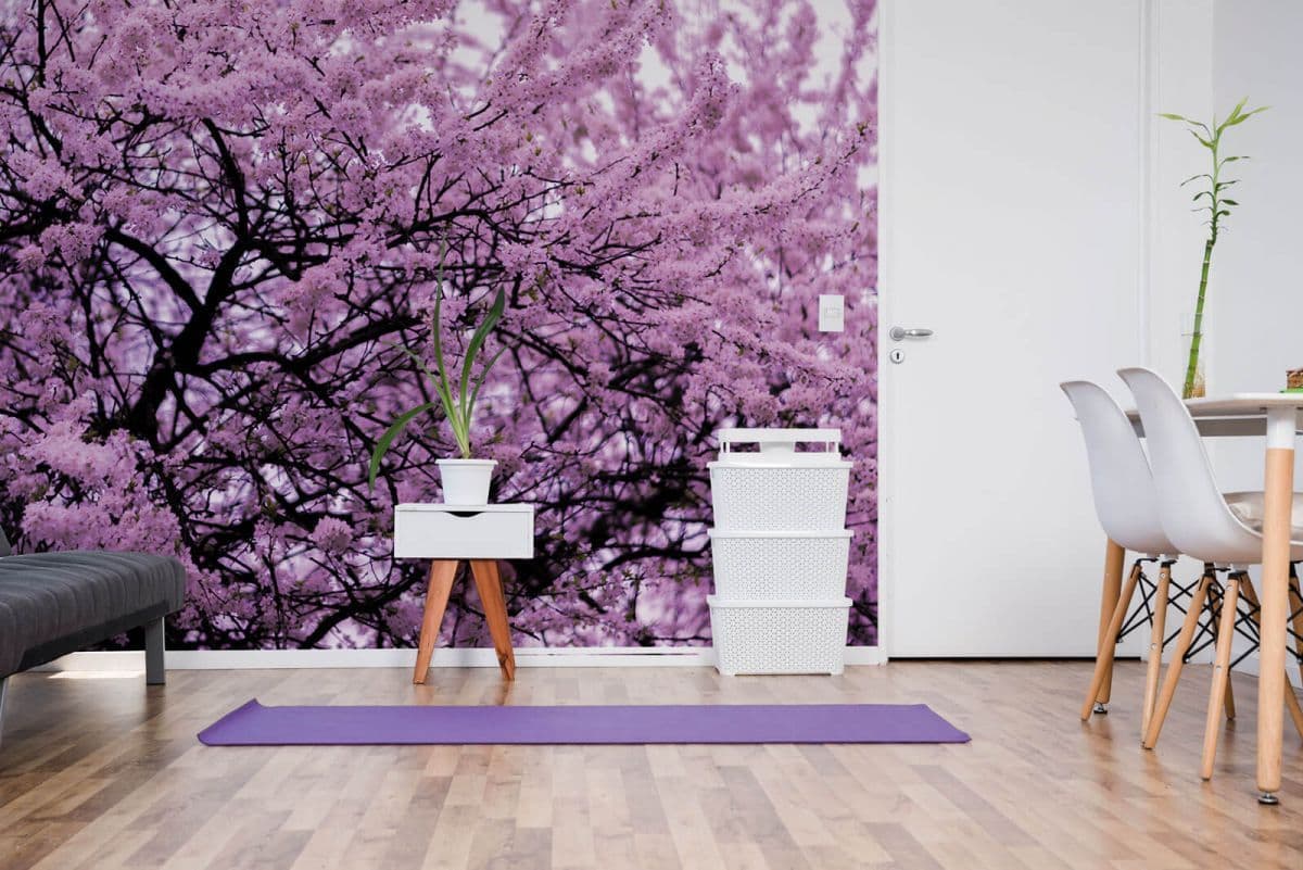 Flowering Tree Photo Wallpaper Nice Wall