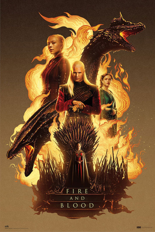 House Of The Dragon Fire And Blood Poster