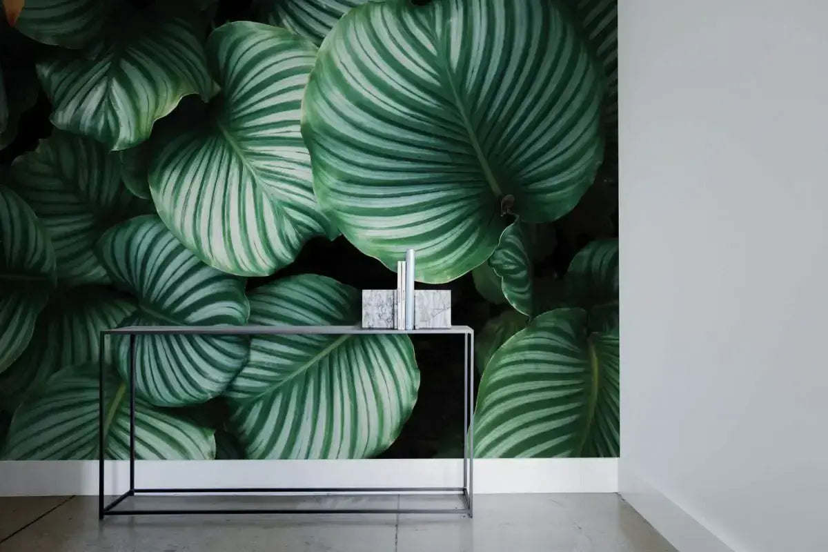 Green Plants Large Leaves Photo Wallpaper Nice Wall