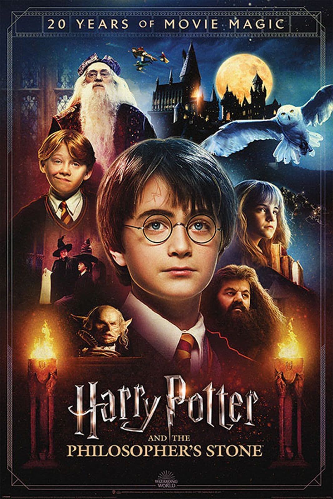 Harry Potter 20 Years of Movie Magic Poster