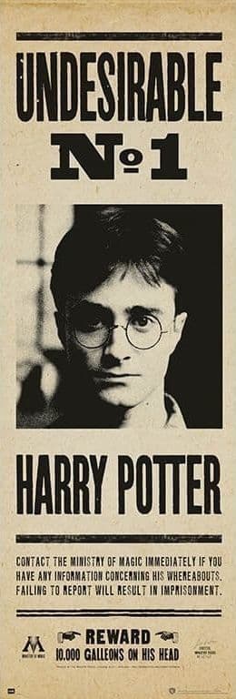 Harry Potter Undesirable Poster