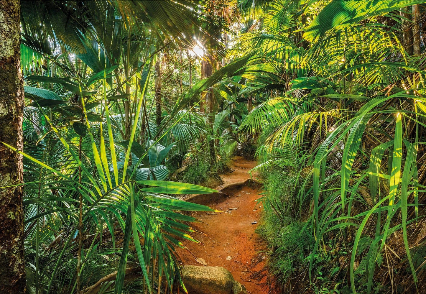 Sunny Day in the Jungle Botanical Photo Wallpaper