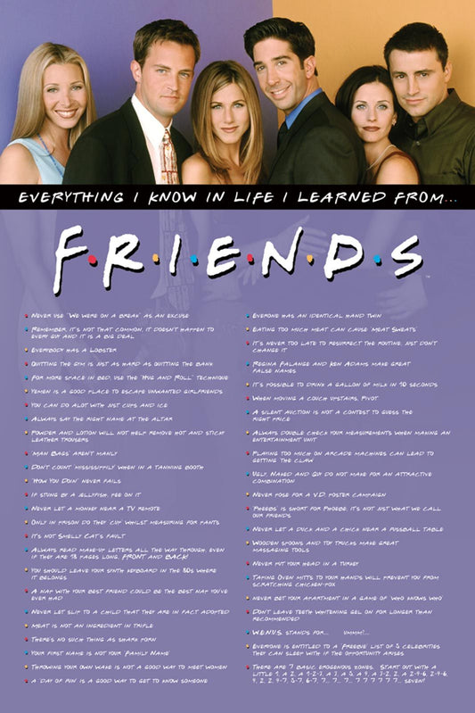 Friends Everything I Know Poster