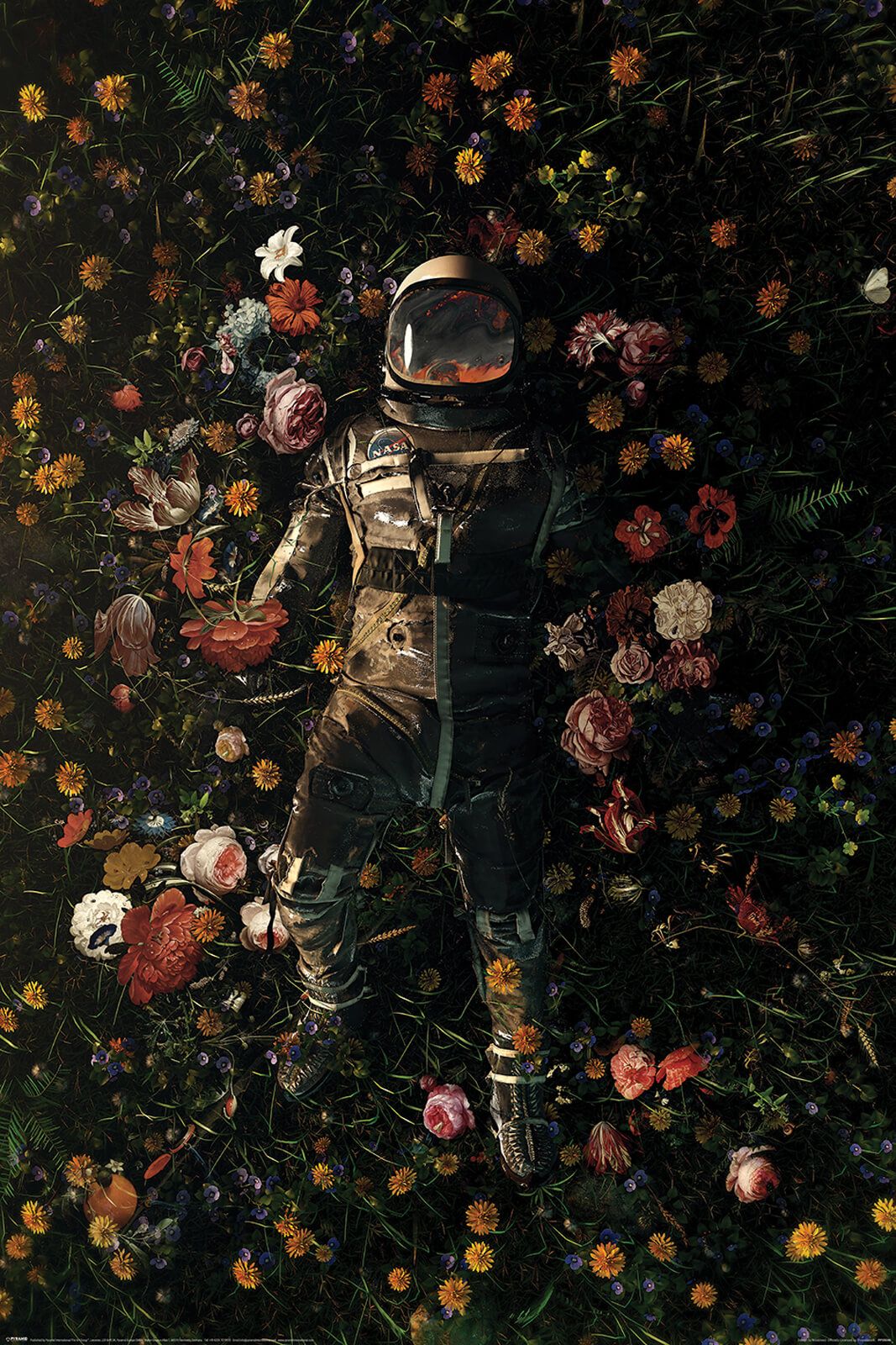Nicebleed Garden Delights Poster Pyramid International