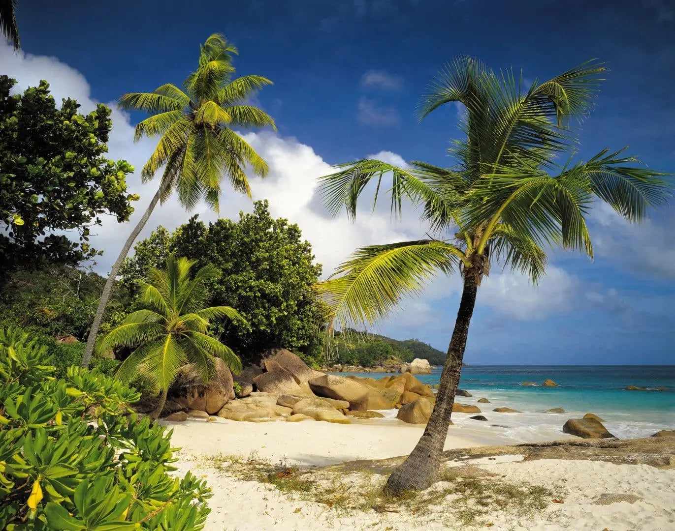 Praslin Tropics Palms on the Sandy Beach Living Room Photo Wallpaper
