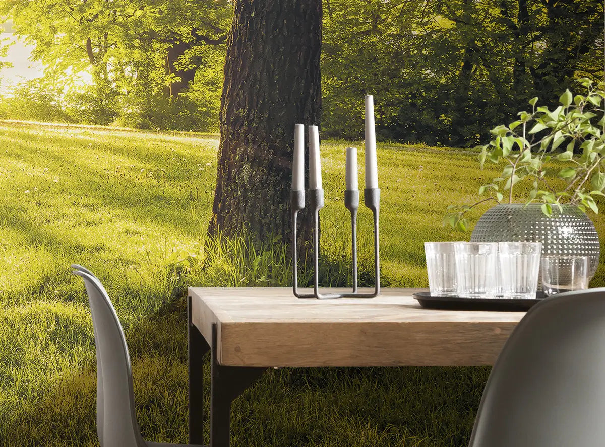 Green Park Over Lake Photo Wallpaper (W x H) 368cm x 254cm (144" x 100")