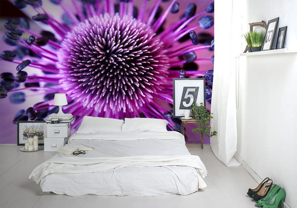 Purple Flower Close Up Photo Wallpaper Nice Wall