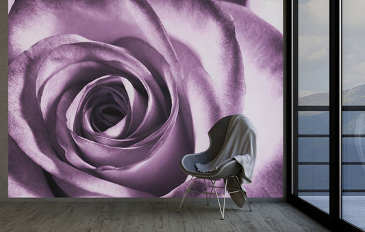 Purple Rose Floral Girly Bedroom Photo Wallpaper Nice Wall