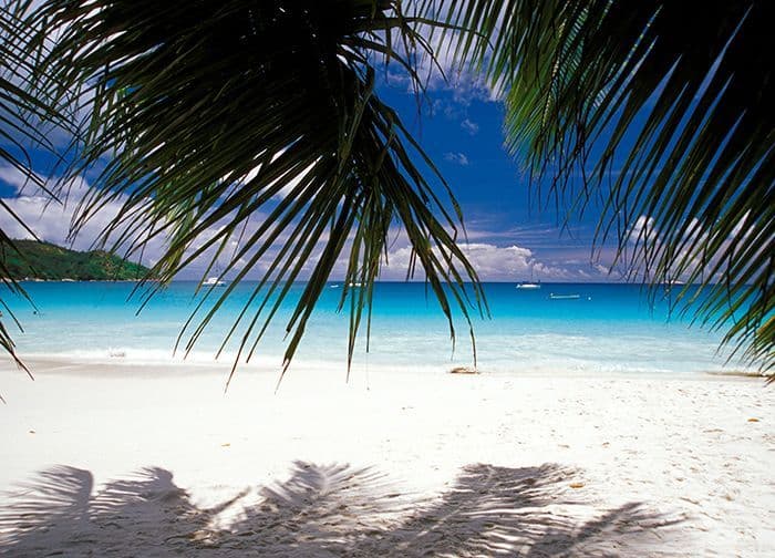 White Sandy Beach Photo Wallpaper Nice Wall