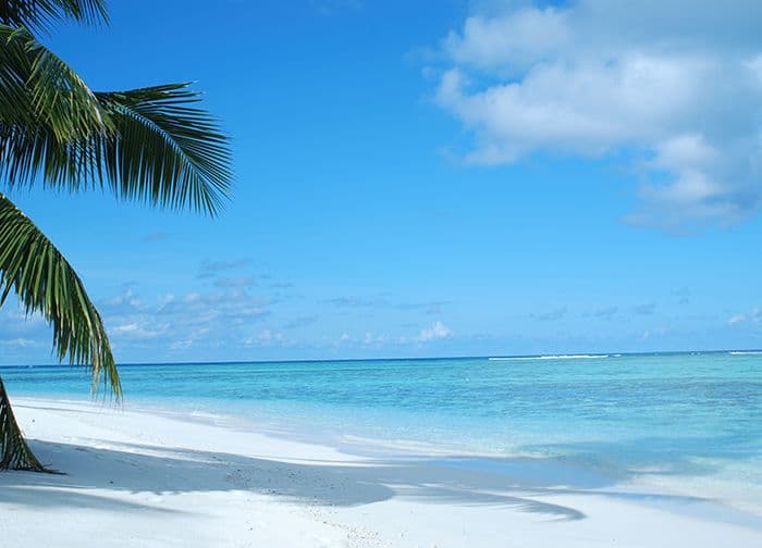 Beach Exotic Scenery Photo Wallpaper Nice Wall