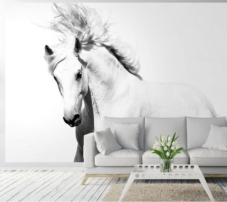 White Horse Animal Photo Wallpaper Nice Wall