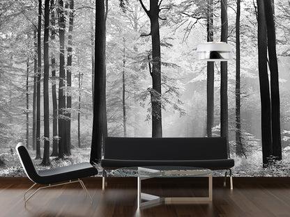 Avalon Black and White Trees Nature Wallpaper Mural (W x H) 384 cm x 260 cm (151" x 102")