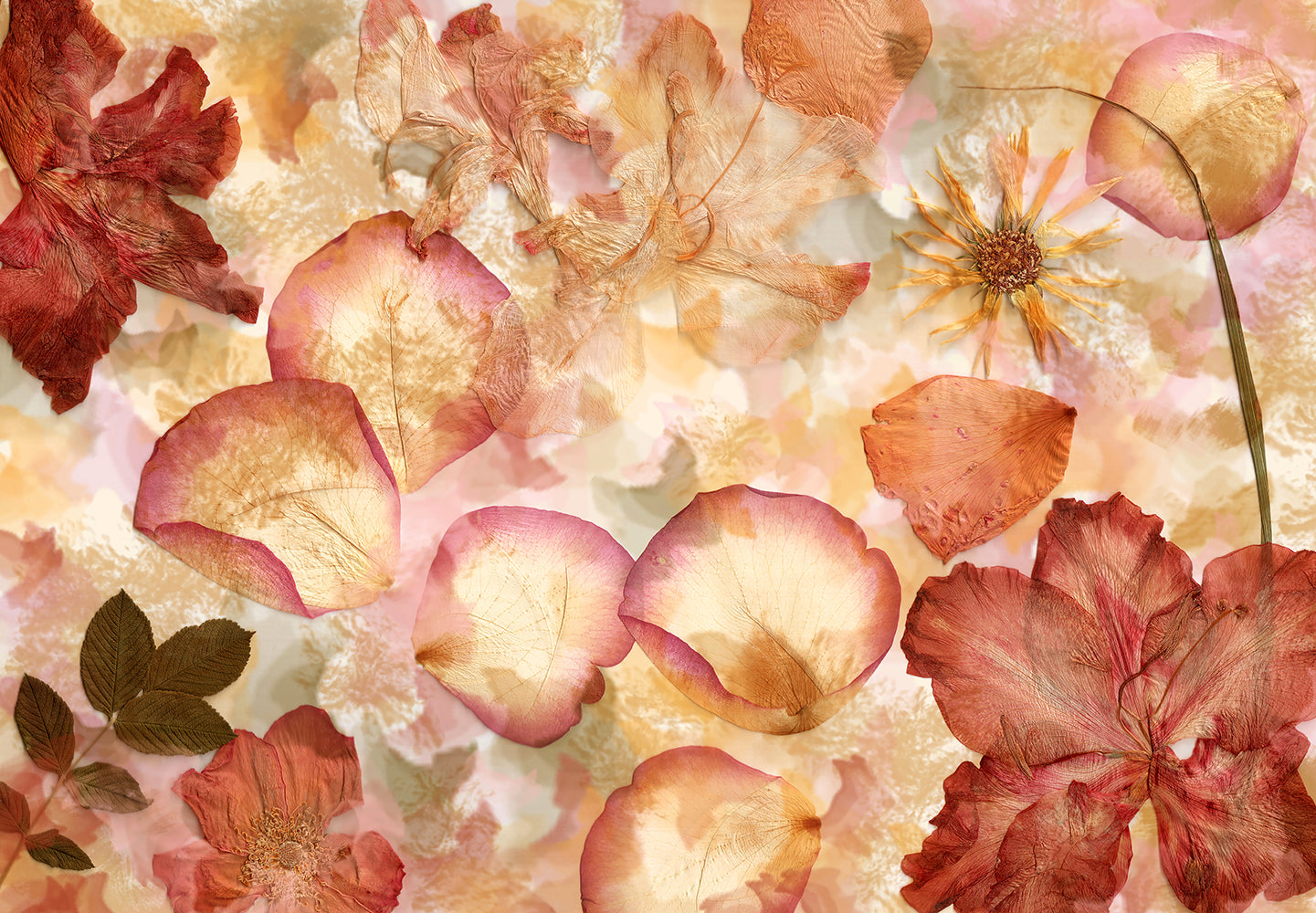 Dried Flowers Non-Woven Wallpaper Mural 366 cm x 254 cm (141" x 100")
