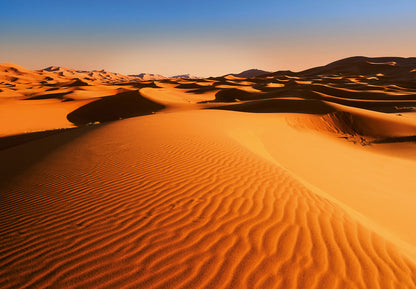 Desert Landscape Living Room Non-Woven Wallpaper Mural 366 cm x 254 cm (141" x 100")