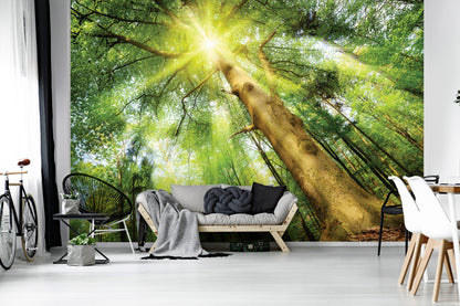 Green Summer Forest Scenery Nature Non-woven Photo Wallpaper (W x H) 312 cm x 219 cm (123" x 86")