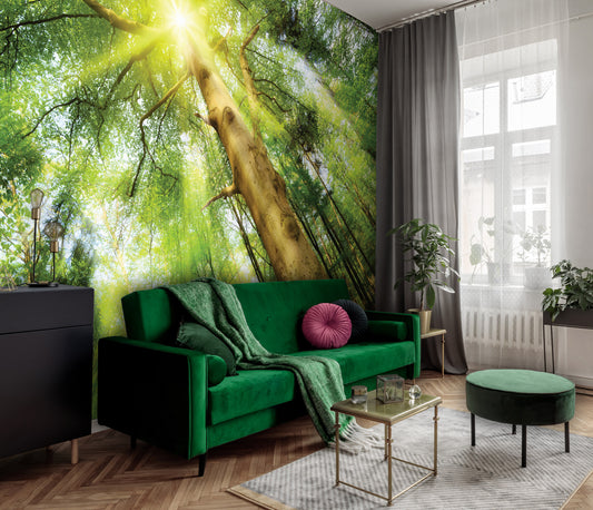 Green Summer Forest Scenery Nature Non-woven Photo Wallpaper (W x H) 312 cm x 219 cm (123" x 86")