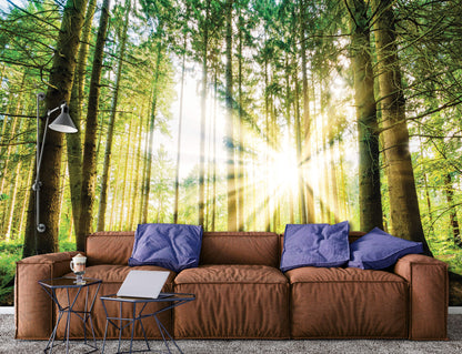 Green Summer Forest Scenery Nature Non-woven Photo Wallpaper (W x H) 312 cm x 219 cm (123" x 86")