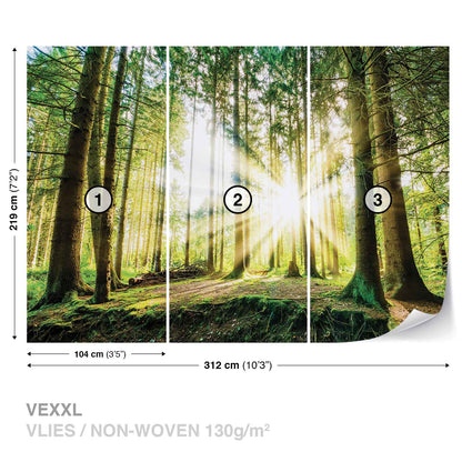 Green Summer Forest Scenery Nature Non-woven Photo Wallpaper (W x H) 312 cm x 219 cm (123" x 86")