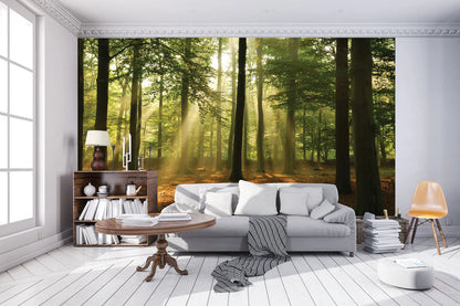 Green Summer Forest Trees Nature Non-woven Photo Wallpapers